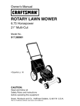 Craftsman 917.388981 User manual