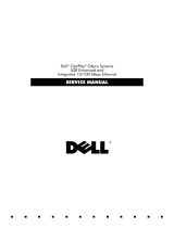 Dell 100-Mbps User manual
