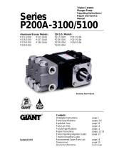 Giant P217-3100 User manual