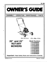 MTD 119-052R000 User manual