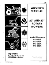 MTD 113-082A User manual