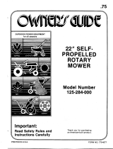 MTD 125-284-000 User manual