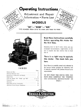 Briggs & Stratton 25100 User manual