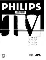 Philips 21PT161B User manual
