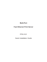 Planet Multi-Port Fast Ethernet Print Server FPS-3121 User manual