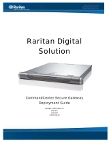 Raritan Computer DSD-0D-E User manual