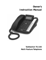 Talkswitch TS-100 User manual