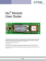 TDK blu2i User manual