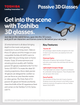 Toshiba FPT-P100UP User manual