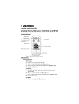 Toshiba H30 User manual