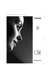 Toshiba X3030 User manual