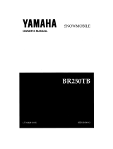 Yamaha BR250TB User manual