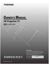 DirecTV DW65X91 HD Projection TV User manual