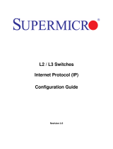 Supermicro SuperBlade SBM-GEM-X2C+ User manual