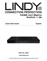 Lindy 4x2 HDMI Switching Splitter User manual