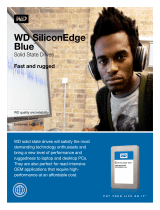 Western DigitalSiliconEdge Blue SSC-D0128SC-2100