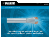 Black Box 25522 User manual