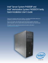 Intel P4304CR2LFKN User manual