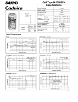 Sanyo N-1700SCK User manual
