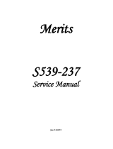 MeritsS539