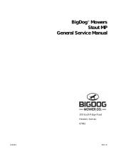 Bigdog BigDog R Series User manual