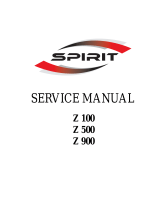 Spirit z100 User manual