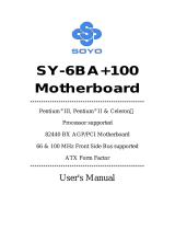 SOYO SY-6BA+100 User manual