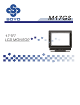 SOYO M17GS User manual