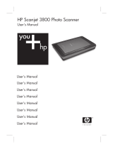 HP 3800 User manual