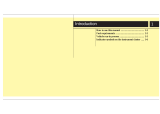 Hyundai Grand i10 NIOS Owner's manual