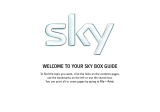 Sky DV3 User manual