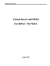 Billion BiPAC 741GEv2 User manual