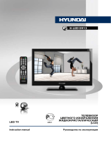 Hyundai H-LED24V13 User manual