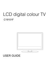 Soundwave C19101F User manual