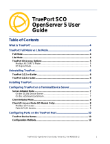 Perle Terminal Server User guide