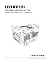 Hyundai HY12000LE-3 User manual