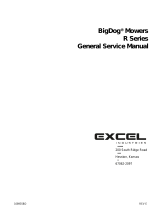 Excel BigDog R Series General Service Manual