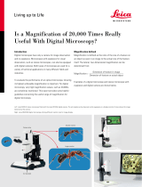 Leica Microsystems M165 FC Application Note