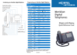 Nortel M3903 Phone Reference guide