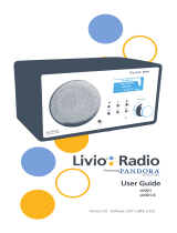 Livio Radio LV001-B User manual