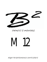 B2 AudioM 12