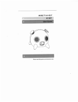 Amethyst A1-BT User manual