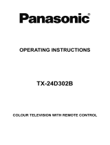 Panasonic TX24D302B Operating instructions