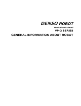 Denso VP-5243G General Information Manual