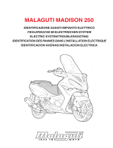 Malaguti MADISON 250 Troubleshooting Manual