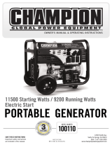 Champion Power Equipment100110