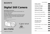 Sony Cyber Shot DSC-P73 User manual