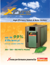 Raypak XFYRE 400 User manual