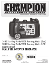 Champion Power Equipment100263