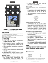 AMT P2 Quick Manual